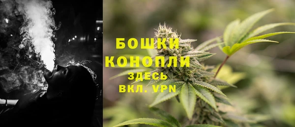 скорость Новозыбков