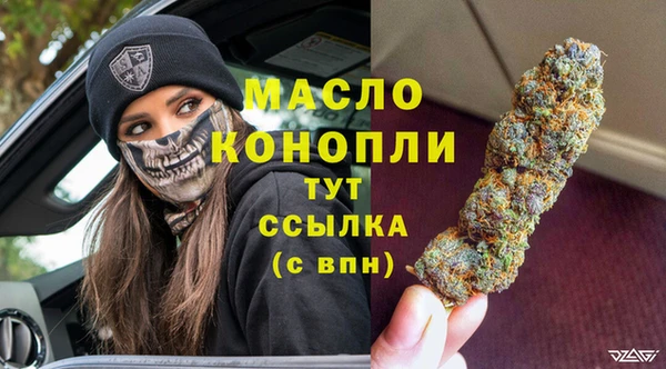 скорость Новозыбков