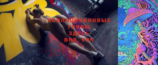 Альфа ПВП Новодвинск