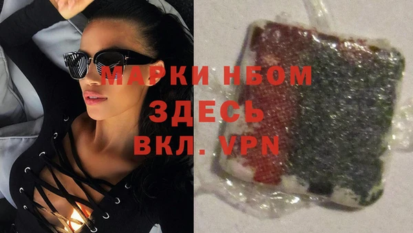 Альфа ПВП Новодвинск
